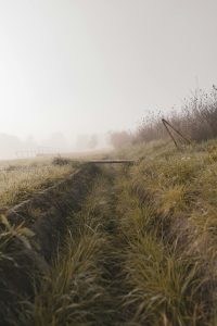 field drainage